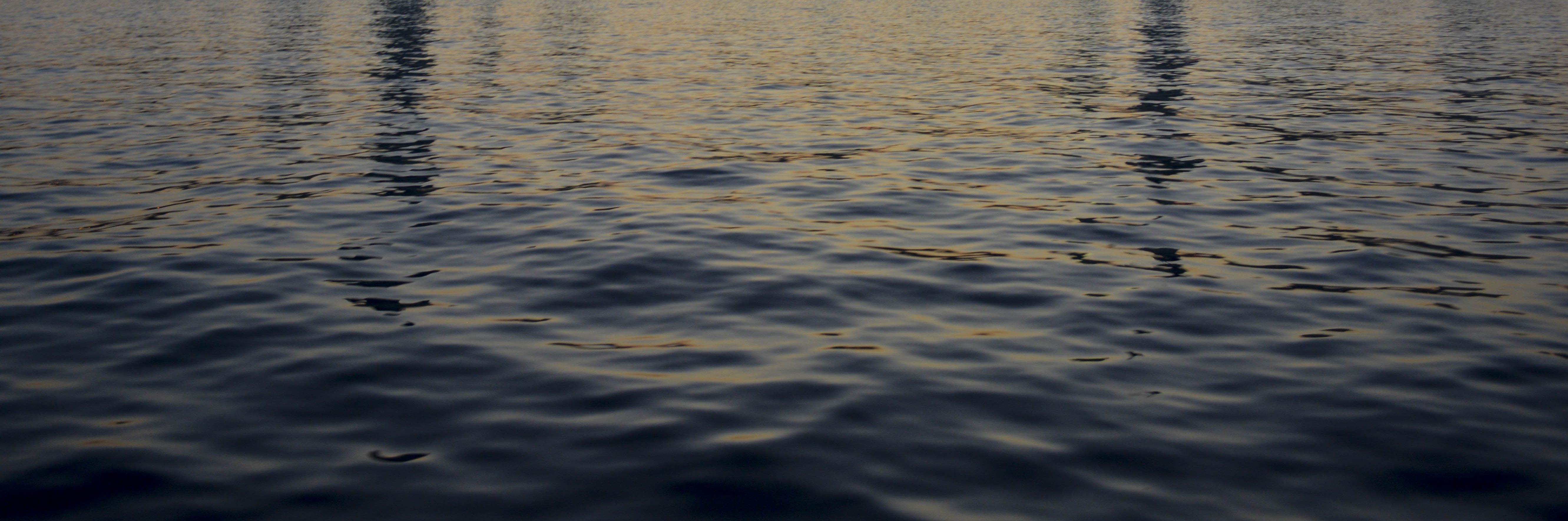 CSM Water - Sales, Marketing and Technology Consultants